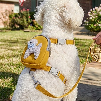 Harnais petit chien sur notre toutou en promenade