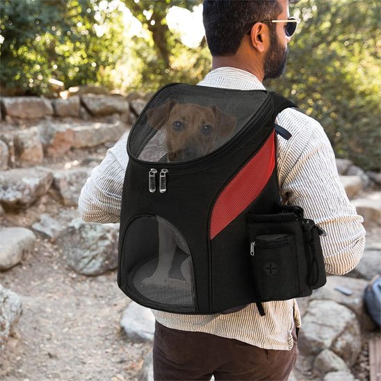 Jeune homme porte notre compagnon avec son sac à dos pour chien