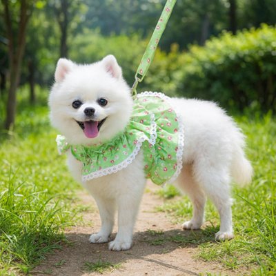 Laisse pour chien verte autour du cou d'un chien en promenade