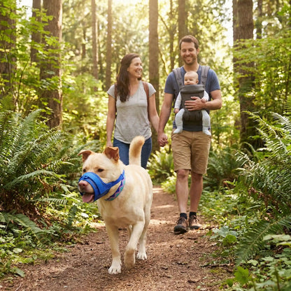 Muselière sur notre ami accompagné ses maitres dans bois