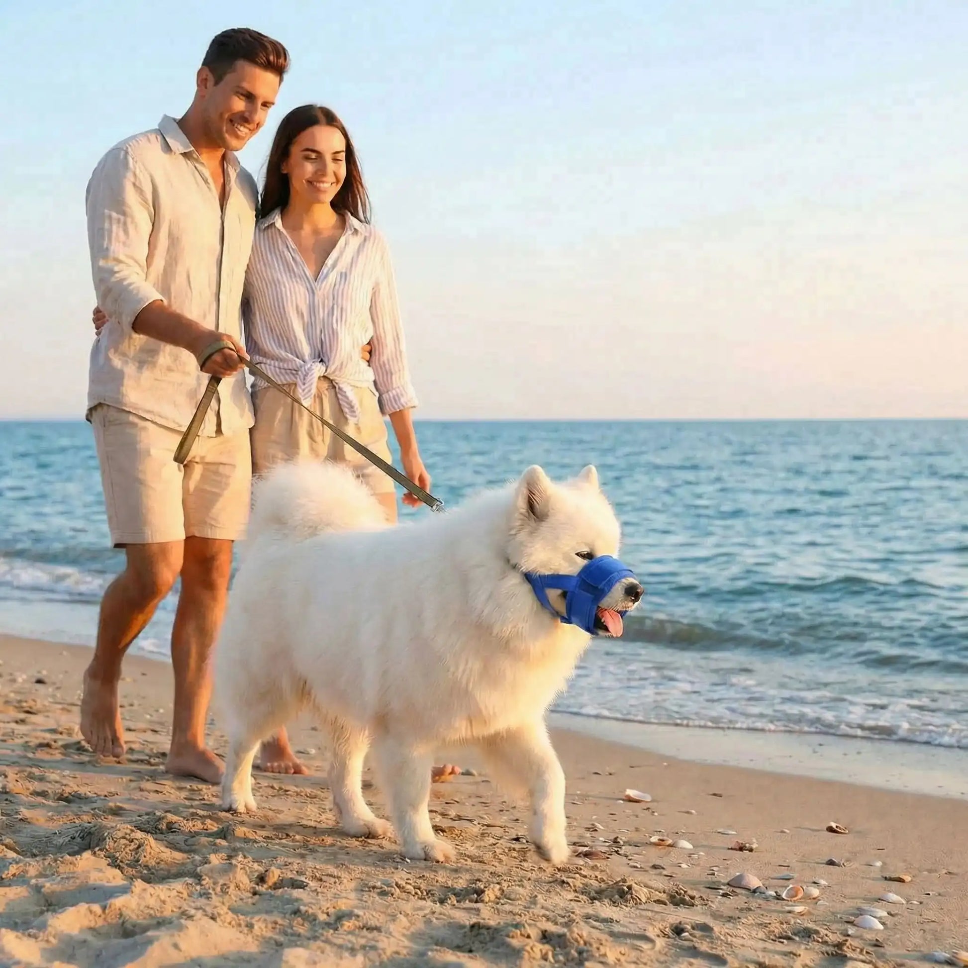 Muselière sur notre ami avec ses maitres en promenade sur plage