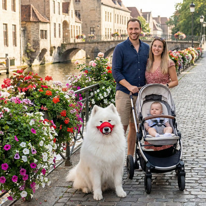Muselière sur notre toutou accompagner de sa famille en promenade