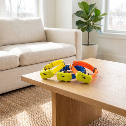 Trois colories de collier GPS chien chasse table salon