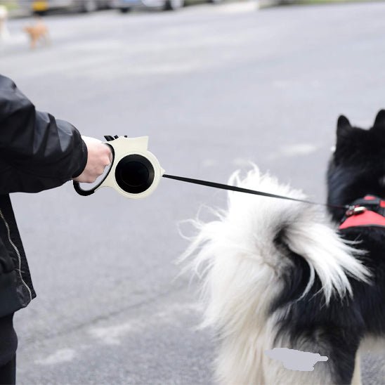 chien se promène-avec-sa-maitresse tenante laisse pour chien autour cou