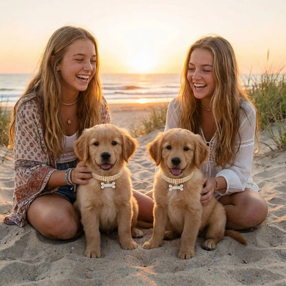collier chiot avec nos deux petits toutou et leurs maitresses