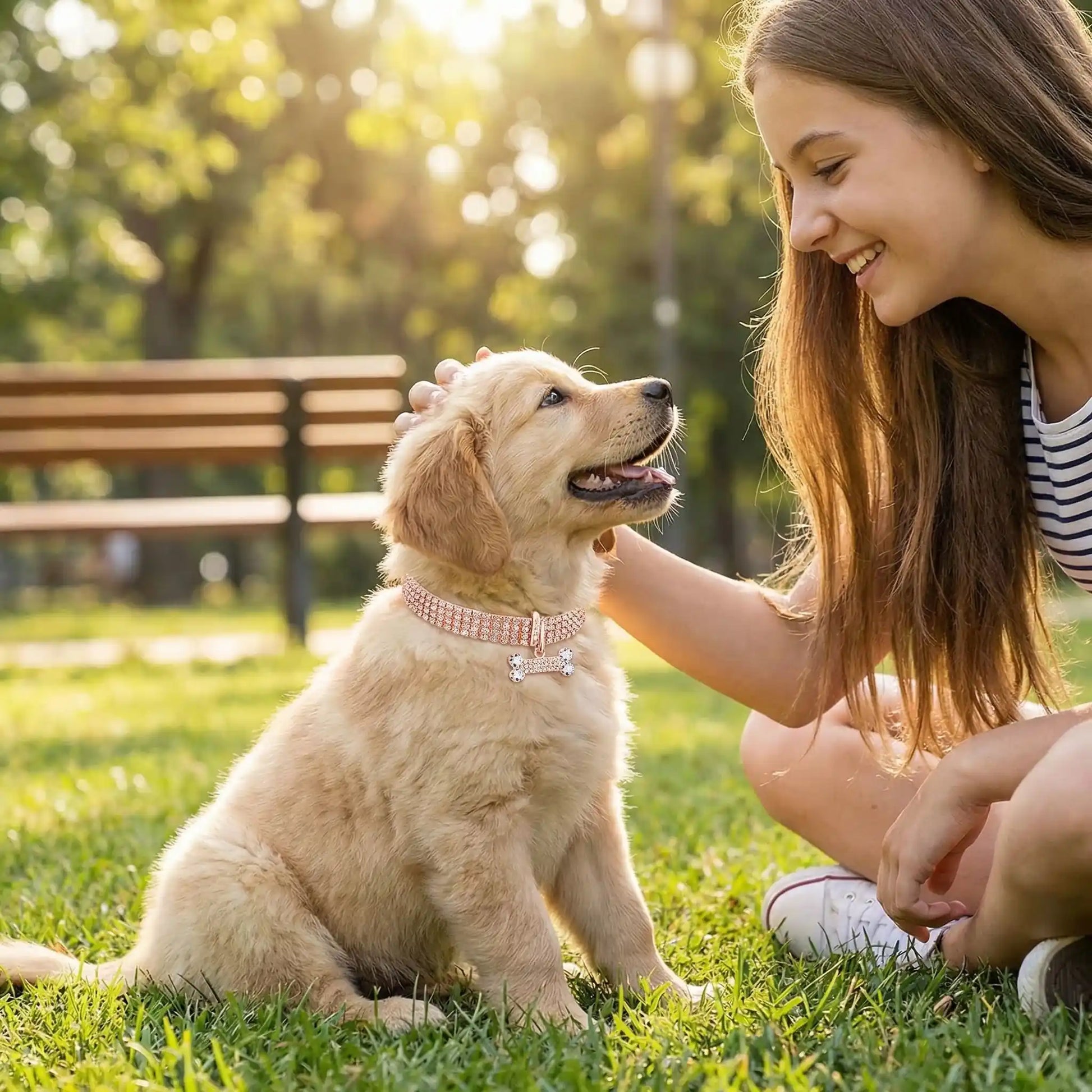 collier chiot avec notre petit toutou et jeune fille
