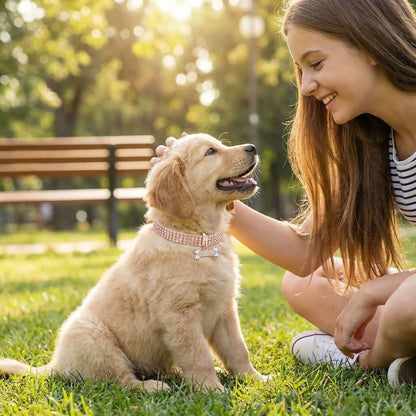 collier chiot avec notre petit toutou et jeune fille