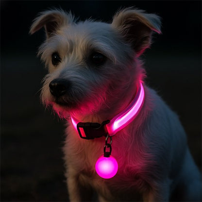 Collier lumineux pour chien rose avec notre toutou