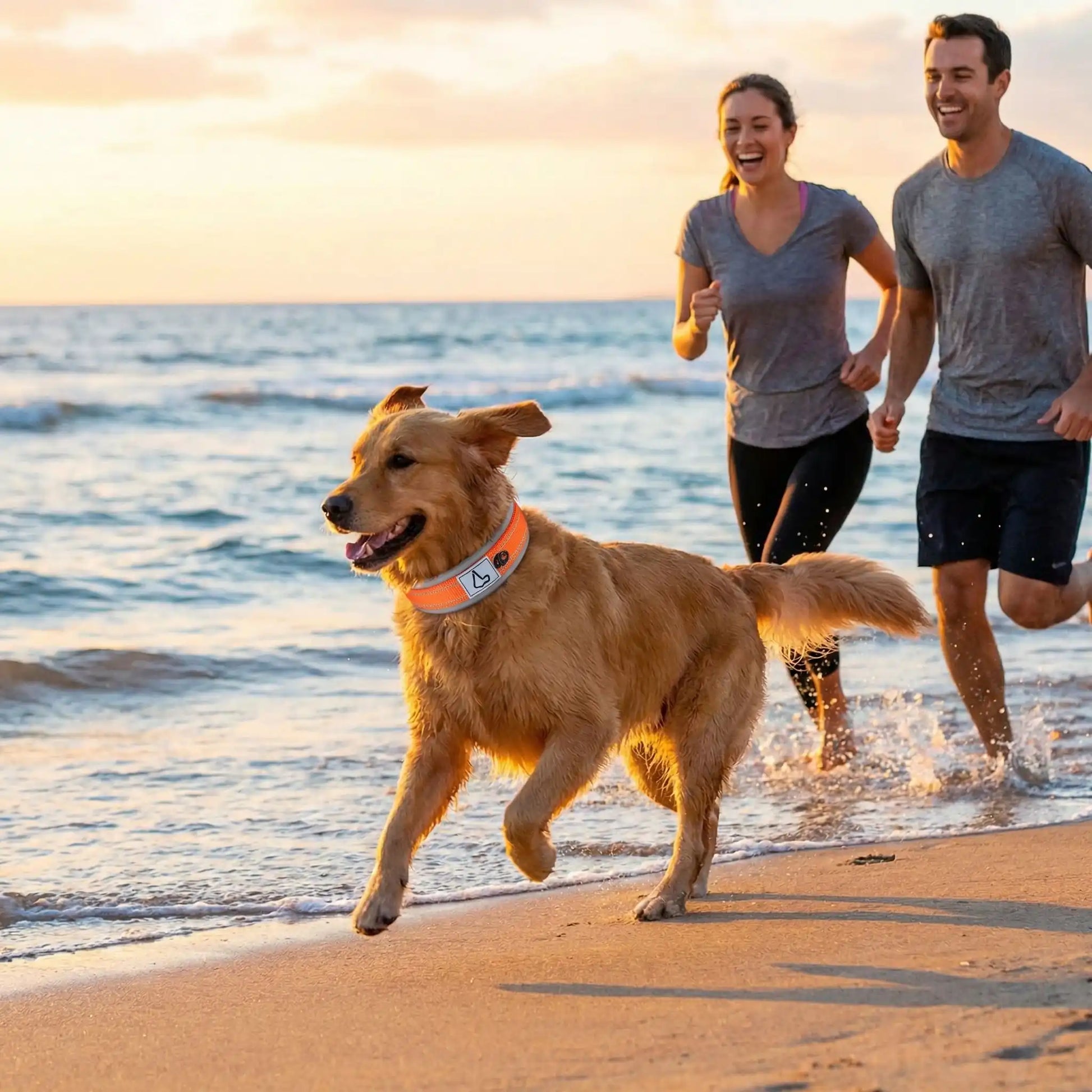 collier pour chien orange avec notre compagnon et ses maitres
