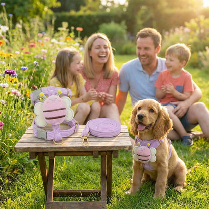 familles en vacance avec harnais pour chien