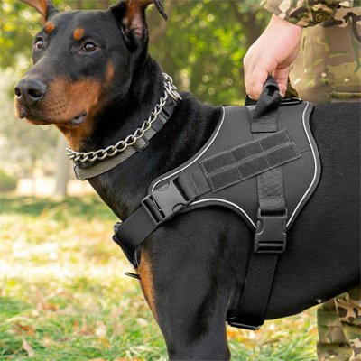 Harnais anti traction chien avec notre toutou balade
