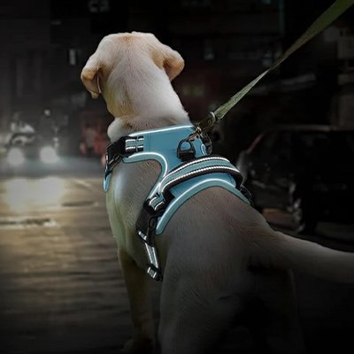 Harnais chien réfléchissant