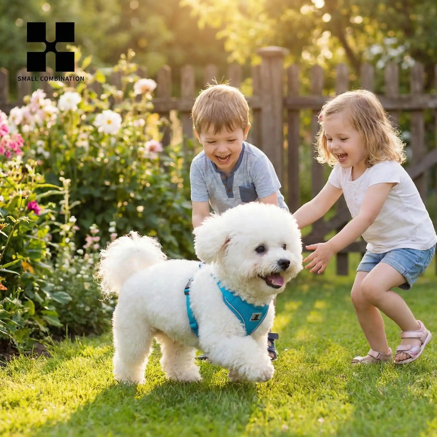 harnais chiot bleu avec notre ami et deux enfants