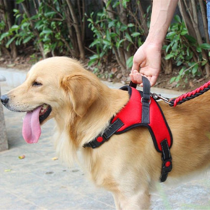 Harnais pour chien avec notre ami