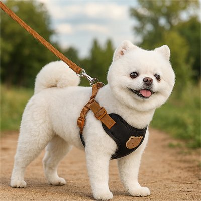 Harnais pour petit chien noir sur dos notre toutou