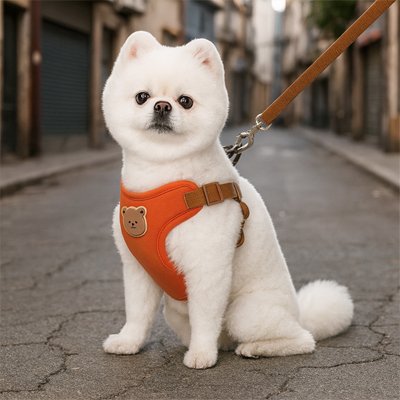 Harnais pour petit chien orange autour cou notre toutou