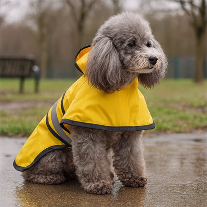 Imperméable pour chien sur notre toutou assis