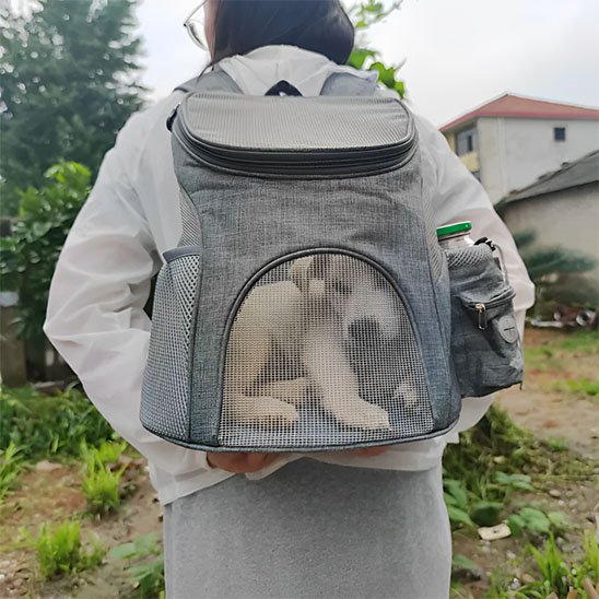 Jeune femme porte son toutou dans sac à dos pour chien 