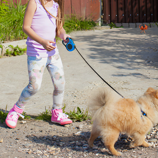 jeune fillette tiens laisse pour chien notre ami