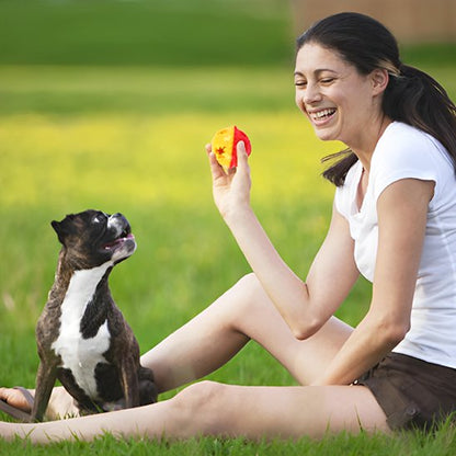 Jouet pour chien avec toutou et sa maitresse