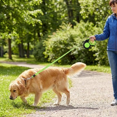 Laisse à enrouleur pour chien sur notre compagnon