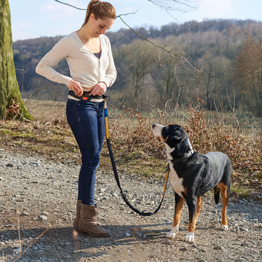 laisse chien main libre autour cou baladent avec sa maitresse