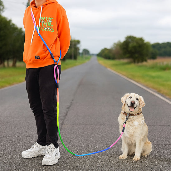 laisse chien main libre avec petit chien fond du sport avec son maitre
