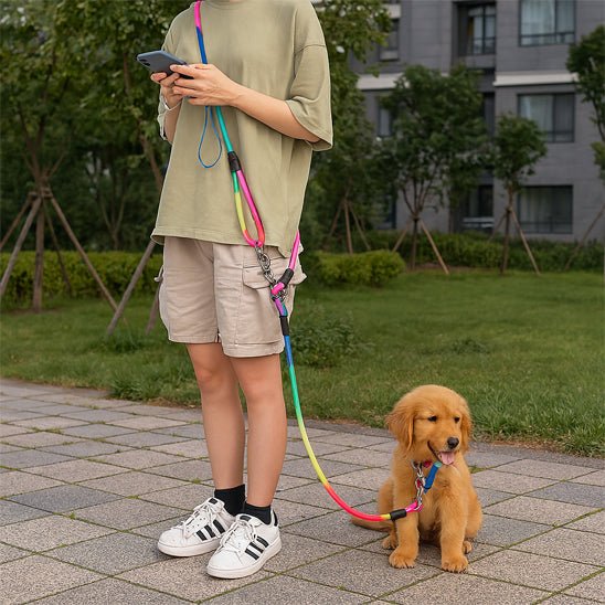 Laisse chien main libre | Naia - Lavieduchien