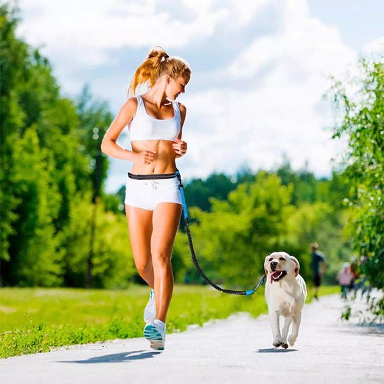 Laisse chien main libre | Papirus - Lavieduchien