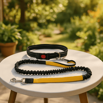 Laisse chien main libre | Papirus - Lavieduchien