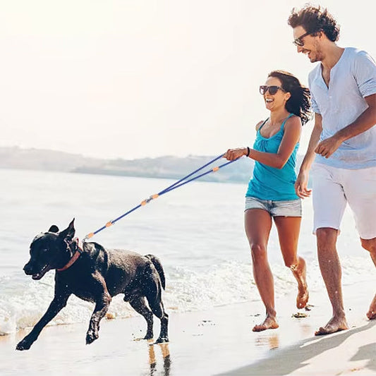 laisse double pour chien autour cou notre ami accompagne maitres