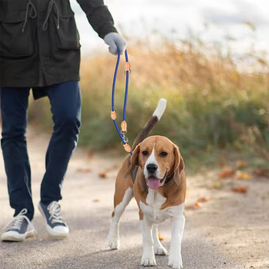 laisse double pour chien autour cou notre ami avec maitre