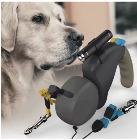 laisse double pour chien avec portrait de notre ami