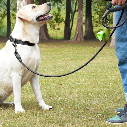 laisse pour chien noir autour cou notre ami au parc