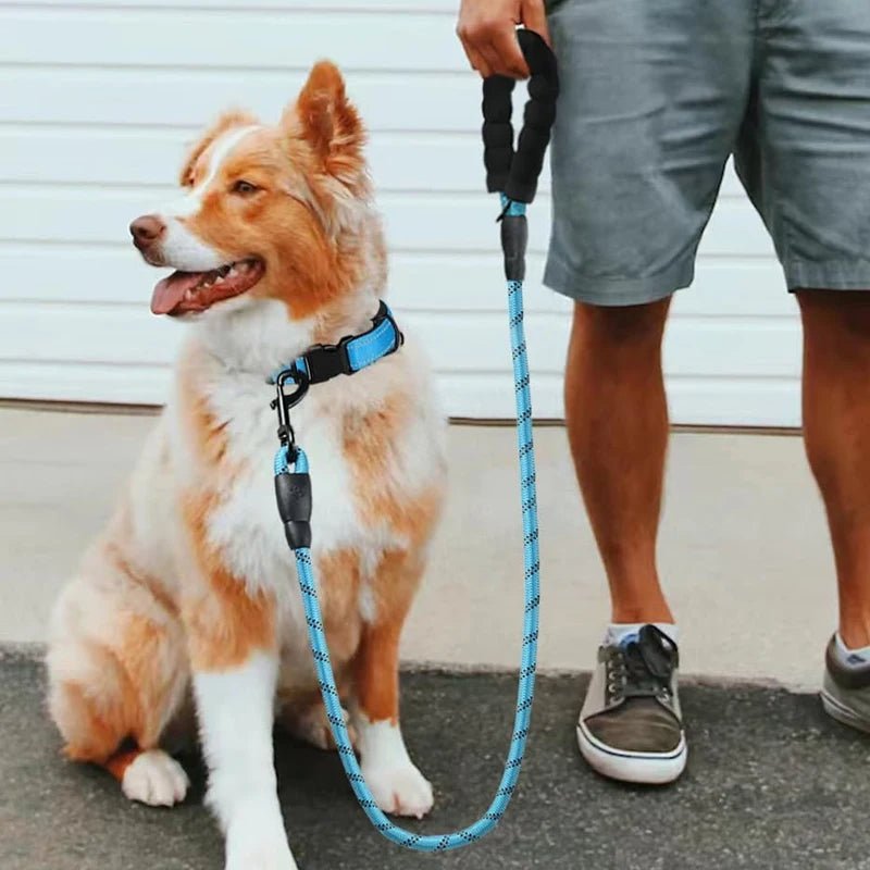 Laisse pour chien | Sanka - Lavieduchien
