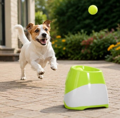 Lanceur de balle pour chien avec compagnon dans jardin