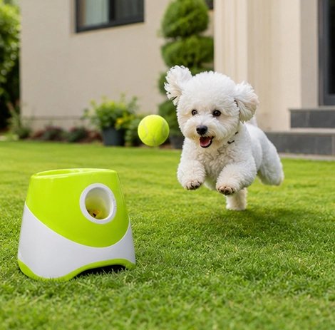 Lanceur de balle pour chien avec compagnon qui joue