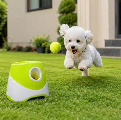Lanceur de balle pour chien avec compagnon qui joue