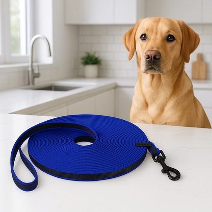 longe chien dans cuisine avec notre ami