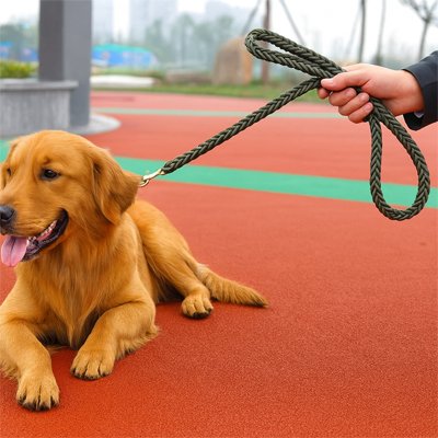 Longe Chiens autour cou notre compagnon allonger