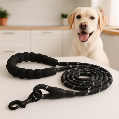 longe chiens sur table cuisine avec notre toutou