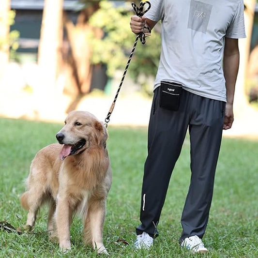 Longe pour chien autour cou notre toutou son maitre
