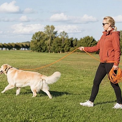 Longe pour chien avec chien femme en balade