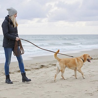 Longe pour chien avec toutou sa maitresse en plage