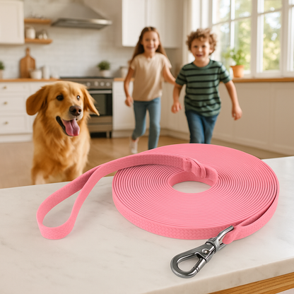 longe pour chien dans cuisine avec compagnons