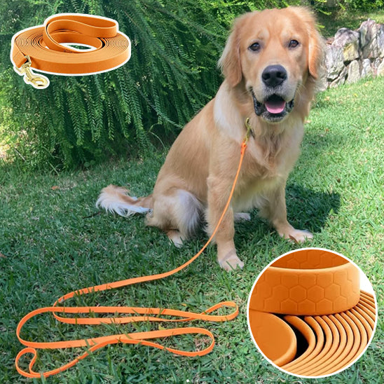 longe pour chien orange autour cou notre ami avec image produit