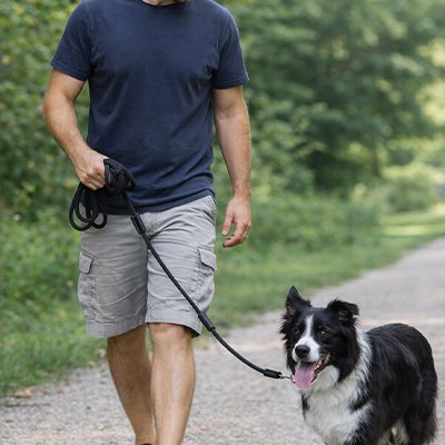 Longe pour chien sur notre ami en balade avec son maitre