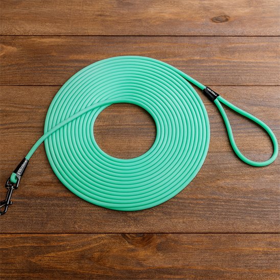 Longe pour chien vert