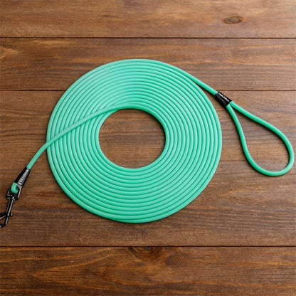 Longe pour chien vert