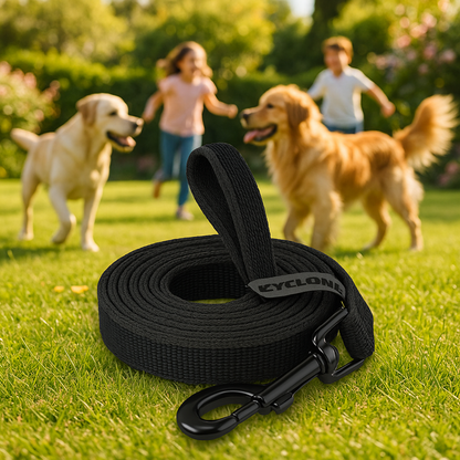 longes chien noir dans jardin avec enfants
